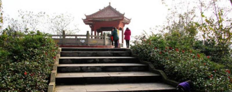 广安兔儿山公园在哪里（广安兔儿山公园草坪图片）