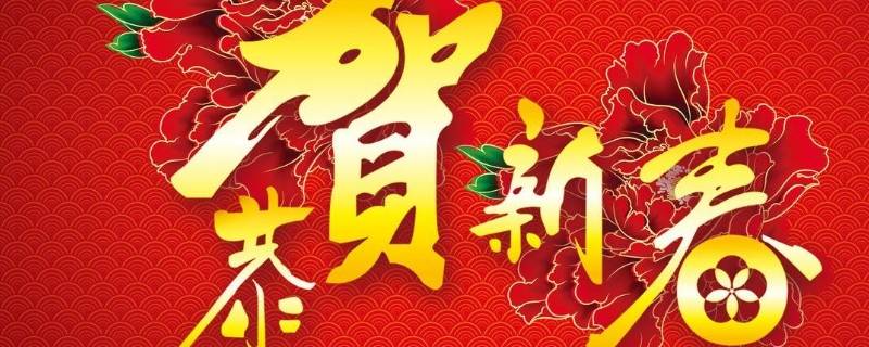 春节文化的收获和感悟 春节传统文化感悟收获