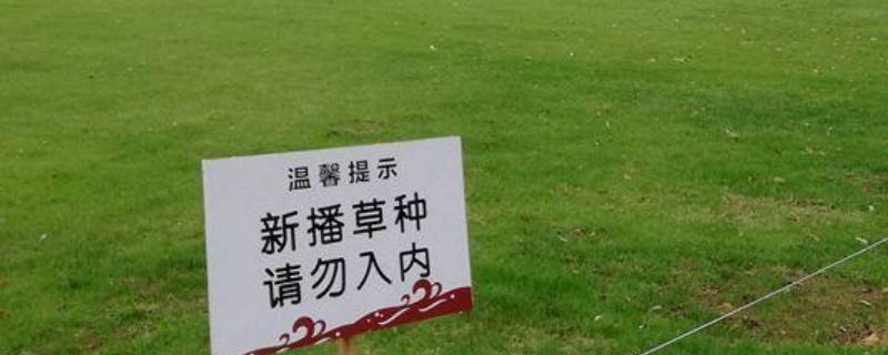 关于爱护草坪的宣传标语 关于爱护草坪的宣传标语图片