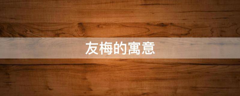 友梅的寓意 友梅的意思
