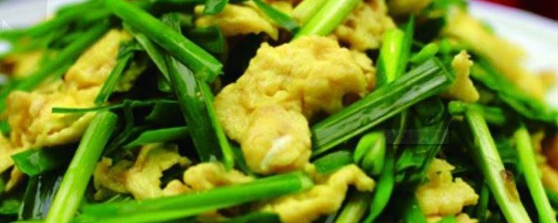 韭菜可以炒哪些东西 韭菜可以炒哪些东西吃
