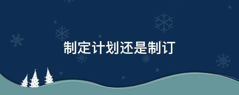 制定计划还是制订（什么叫制定计划）