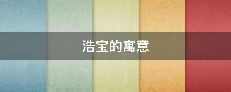 浩宝的寓意 浩莀的寓意