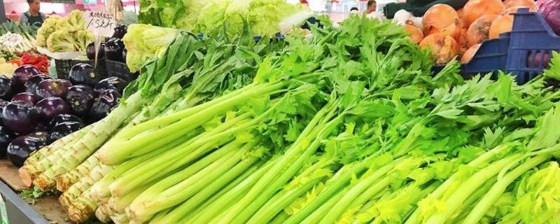 北京蔬菜批发市场有哪些（北京市哪里有大型蔬菜批发市场有几个）