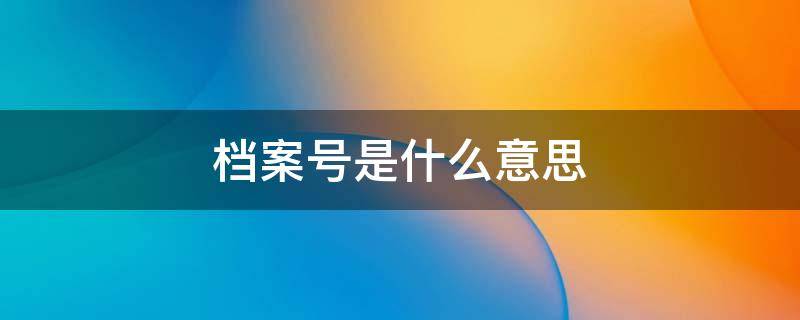 档案号是什么意思 档案号是什么意思怎么查询