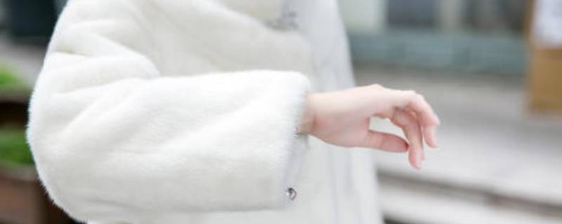 貂皮有灰尘怎么清理（貂毛怎么清理灰尘）