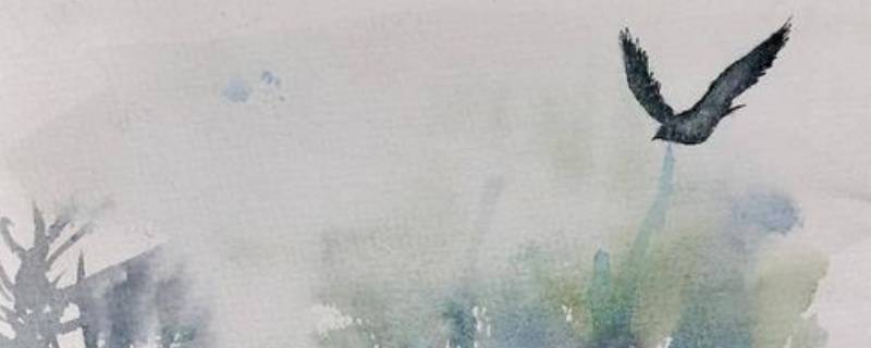 无脚鸟的寓意是什么 有一种鸟叫无脚鸟
