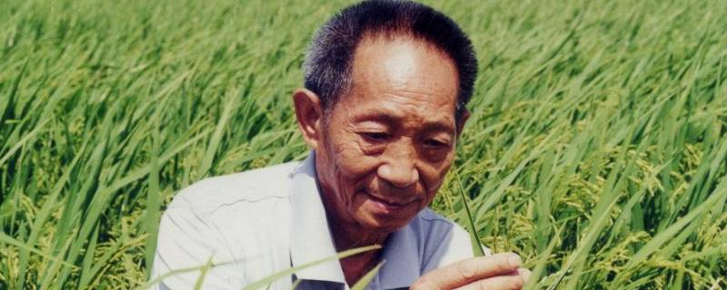 南袁北李指的是谁（南袁北陈指的是谁）