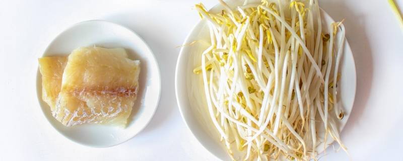 绿豆芽可以长多高 绿豆芽长多高能吃