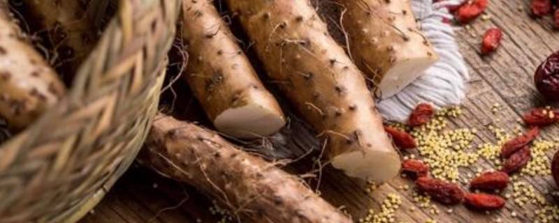 腐烂变质的山药什么样 腐烂的山药还能吃吗