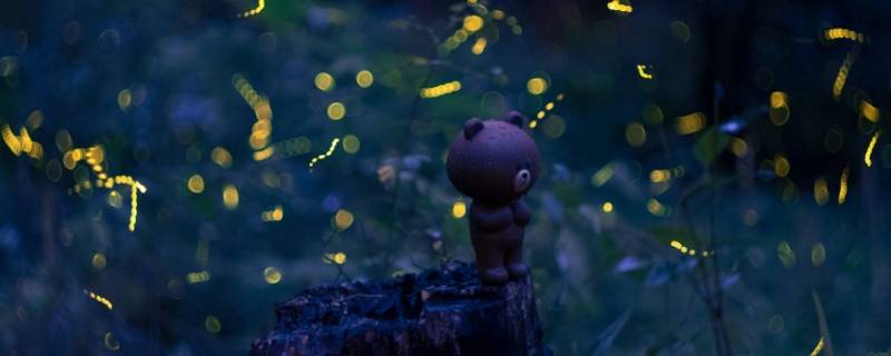 萤火虫有几只脚 萤火虫有几只脚图片