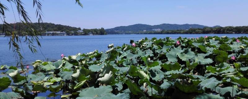 昭德县在哪 昭德县是哪个地区