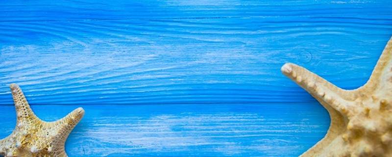 常见的蓝色东西有哪些 常见的蓝色东西有哪些英文