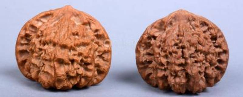 文玩核桃底部能抠掉吗（文玩核桃底部能抠掉吗怎么处理）