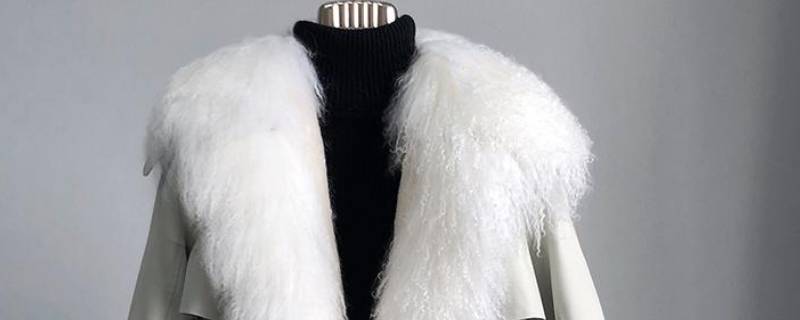 滩羊毛领怎么清洗 滩羊毛毛领怎么洗