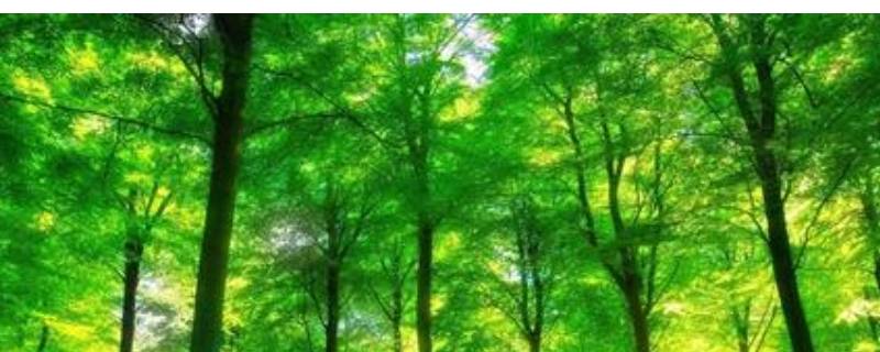 绿的颜色有哪些（绿的颜色有哪些词语）