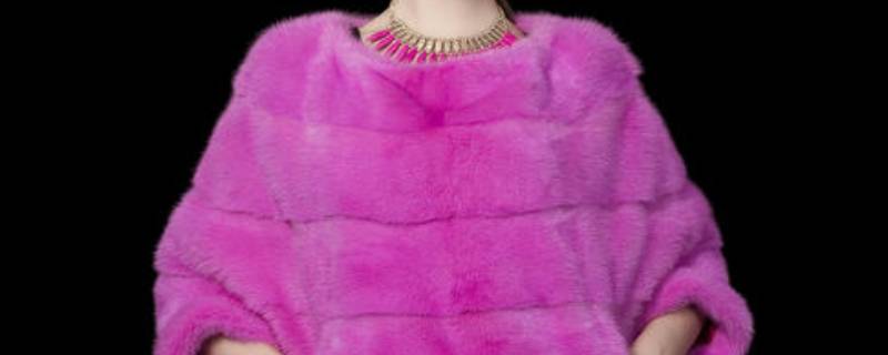 貂毛和水貂毛有区别吗（貂毛和水貂毛有区别吗图片）