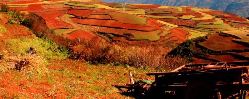 东川省是哪里 东川省是什么地方