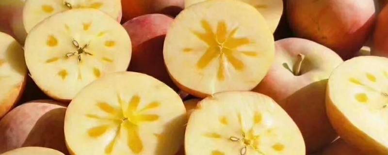 糖心苹果产地在哪里 糖心苹果是哪里特产