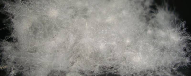 90白鸭绒和95白鸭绒的区别（90白鸭绒和95白鸭绒哪个好）