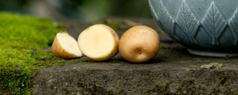 土豆里面有黑色条纹能吃吗（土豆里面有黑色条纹能吃吗有毒吗）