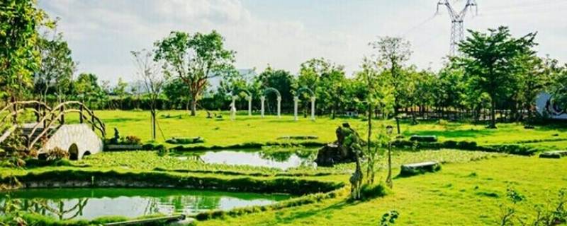 亚维浓生态园在哪里 亚维浓植物园在哪里