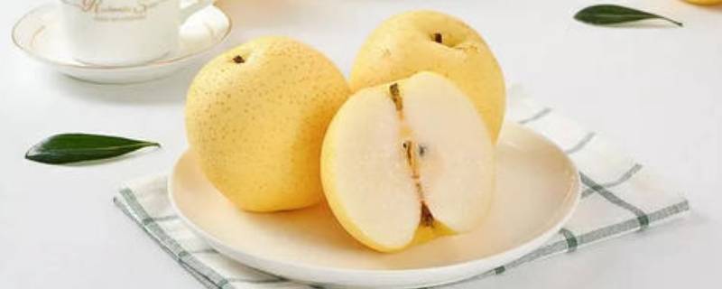 送梨的寓意是什么意思 送梨子的用意