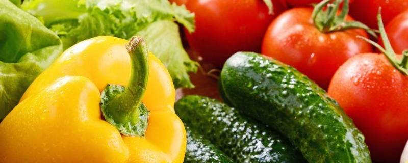 有机菜是什么菜（有机菜是什么菜做成的）