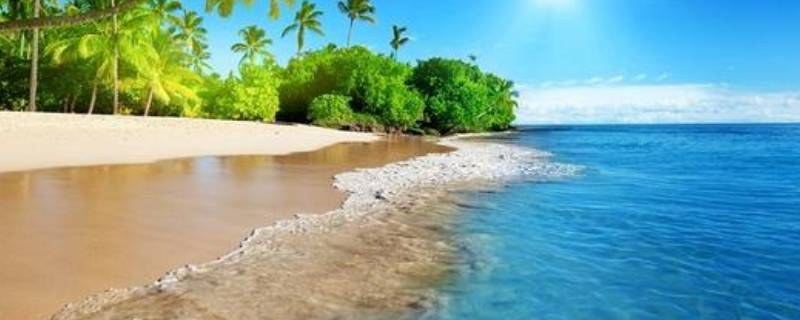 大海里有哪些动物和植物 大海里有哪些动物和植物名称