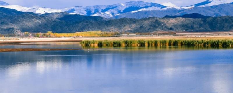 可可托海是哪个城市（可可托海是哪里的?）