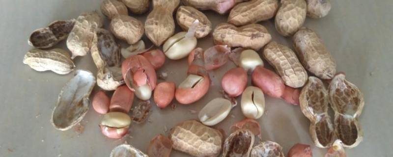 盐可以代替沙子炒花生吗（盐可以代替沙子炒花生吗为什么）