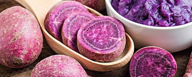 紫色的蔬菜有哪些（紫色的蔬菜有哪些图片及名称）