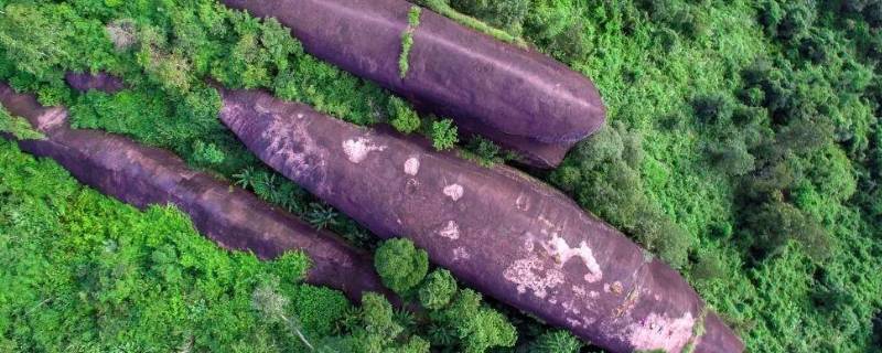 三鲸石是什么（三鲸石是怎么形成的）