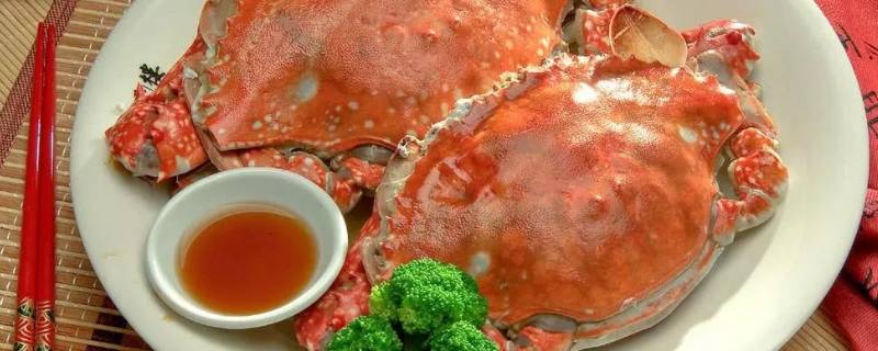 梭子蟹怎样挑选肥的（梭子蟹肥美的挑选方法）