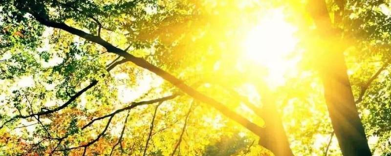 为什么不能隔着玻璃晒太阳（婴儿为什么不能隔着玻璃晒太阳）