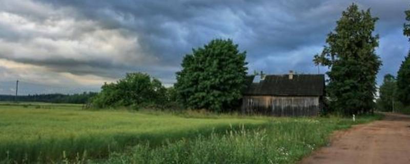 belarus是哪个国家的（bel是什么国家）