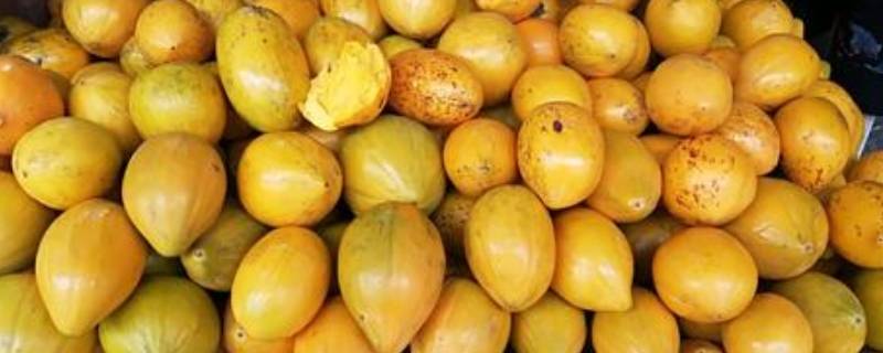 鸡蛋果怎么催熟快（鸡蛋果怎么催熟快呢）