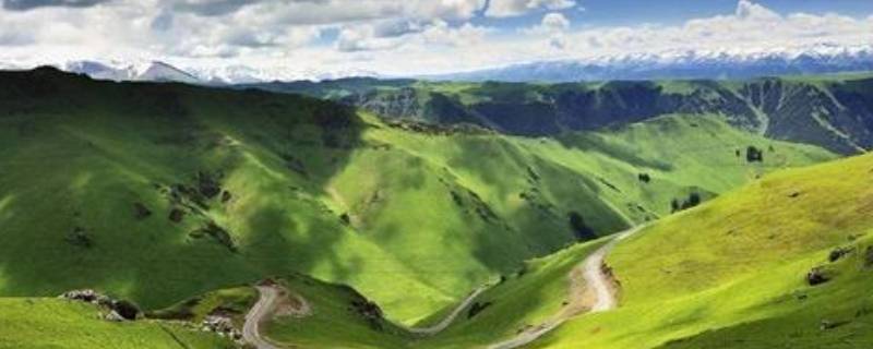 可可托海离伊犁有多远（可可托海和那拉提是什么意思）