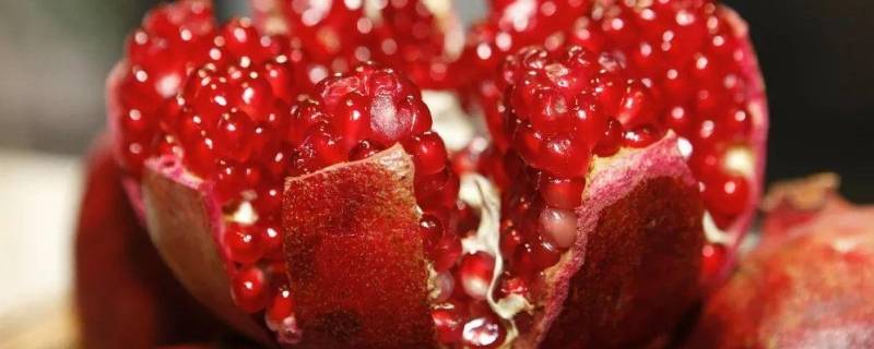 石榴和柚子可以一起吃么 石榴能和柚子一起吃