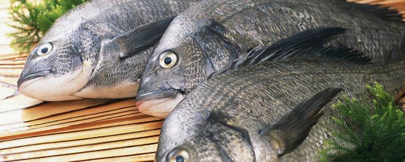 鱼线怎么去除（鱼后背的鱼线怎么去除）