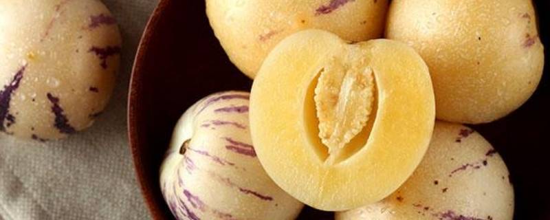 人参果可以加热吃吗（人参果可以加热吃吗有毒吗）