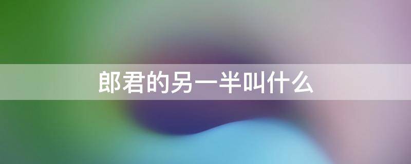 郎君的另一半叫什么 郎君的另一半叫什么小说