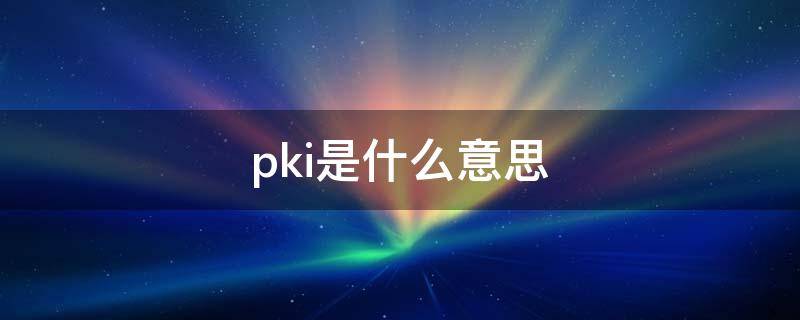 pki是什么意思（kpi是什么意思）