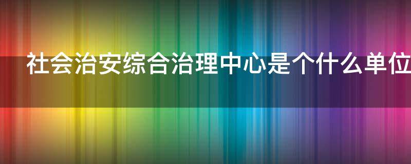 社会治安综合治理中心是个什么单位（社会治安综合治理中心是个什么单位性质）