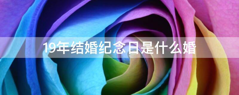 19年结婚纪念日是什么婚 19年结婚纪念日是什么婚祝福图片