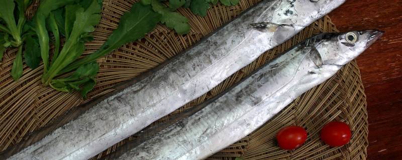带鱼背上需要剪开洗吗 带鱼背上的鳍用剪掉吗