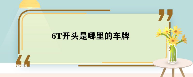 6T开头是哪里的车牌 6T开头是什么车牌