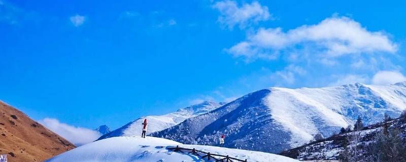 鹧鸪山海拔多少米（鹧鸪山在哪里啊?）
