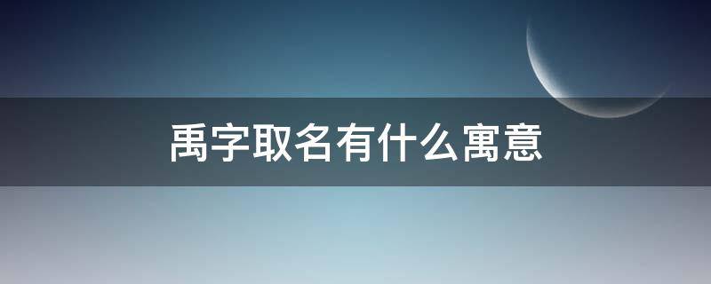 禹字取名有什么寓意