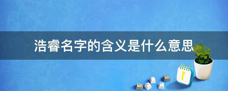 浩睿名字的含义是什么意思（浩睿名字的含义是什么意思啊）